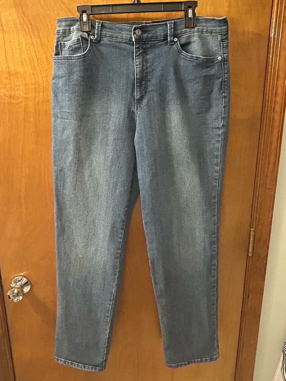Gloria Vanderbilt Classic Straight-Leg Blue Jeans EUC